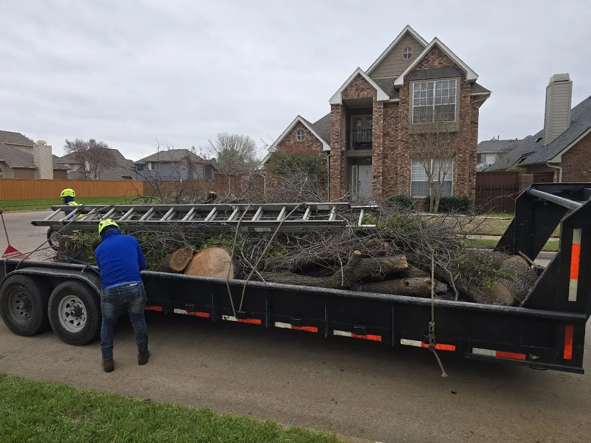 Expert Tree Pest Control with proper safety equipment in Rincon